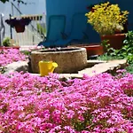Yerkovic