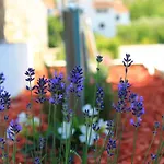 Yerkovic Marina