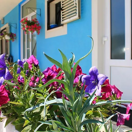 Yerkovic مارينا