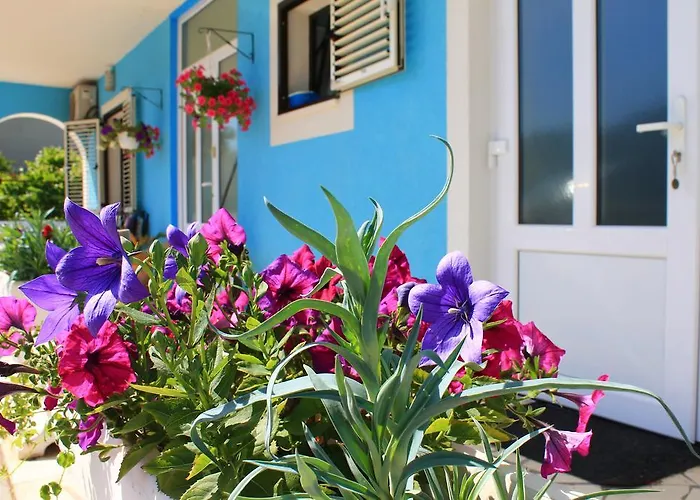 Yerkovic Marina